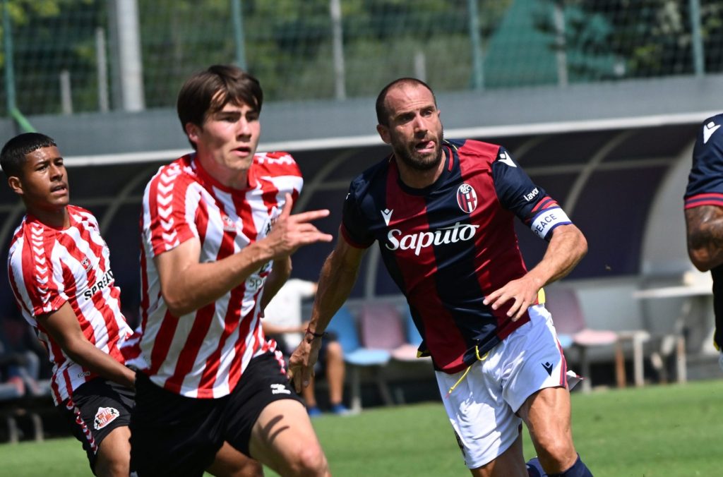 de silvestri