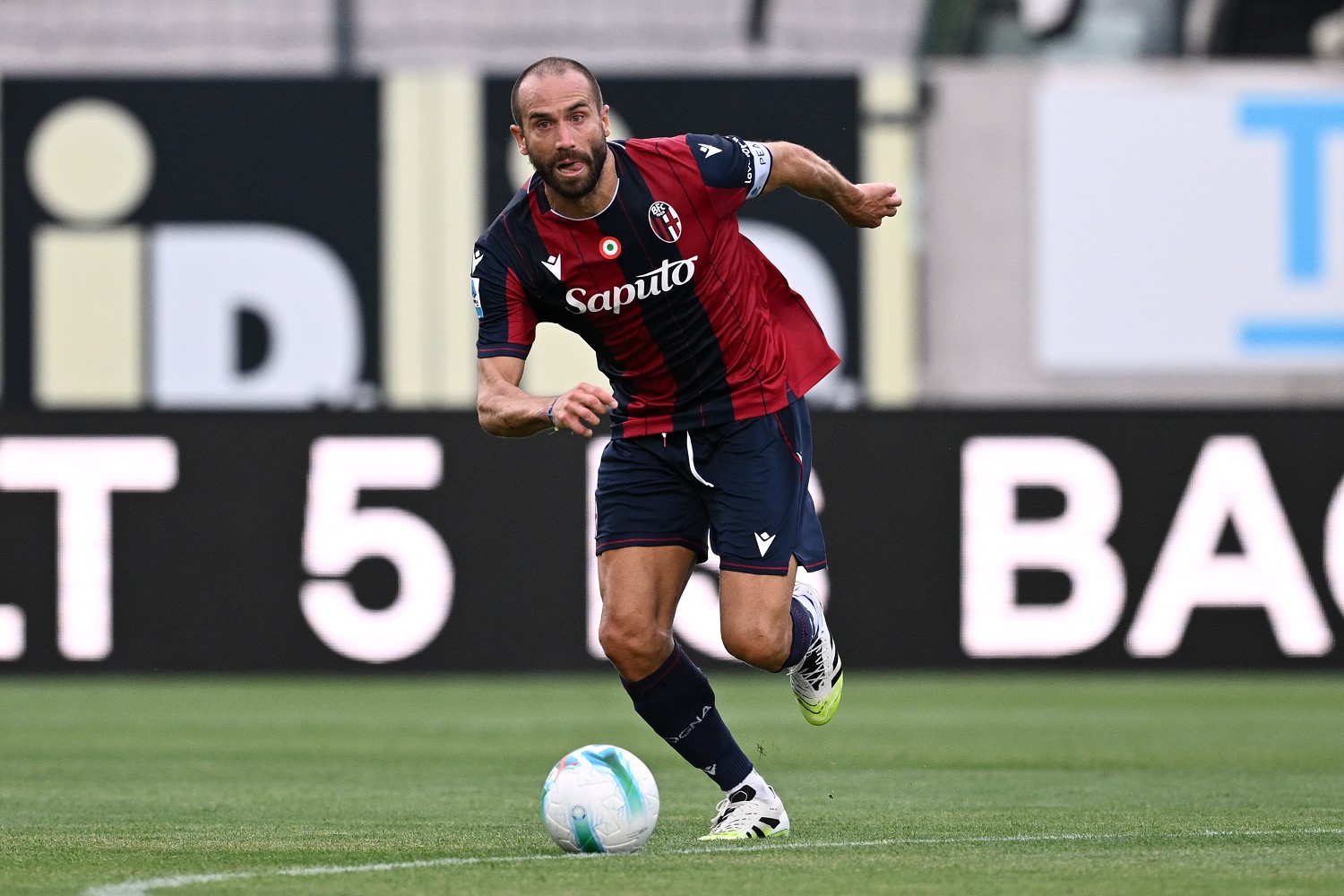 de silvestri bologna