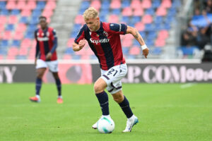 Odgaard bologna