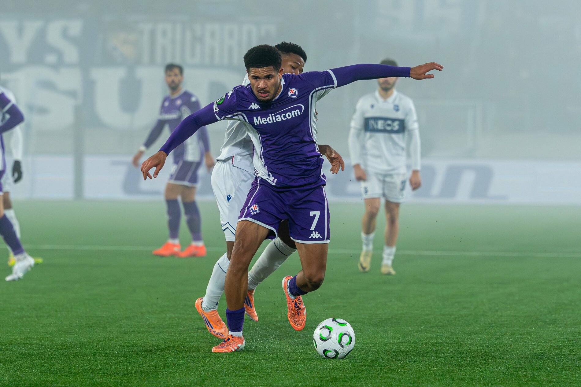 sohm fiorentina