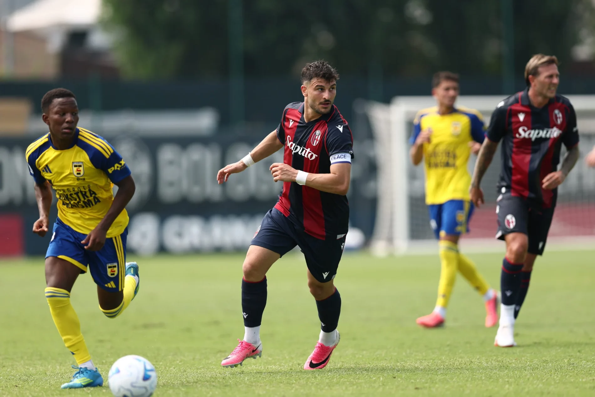 brighton-bologna