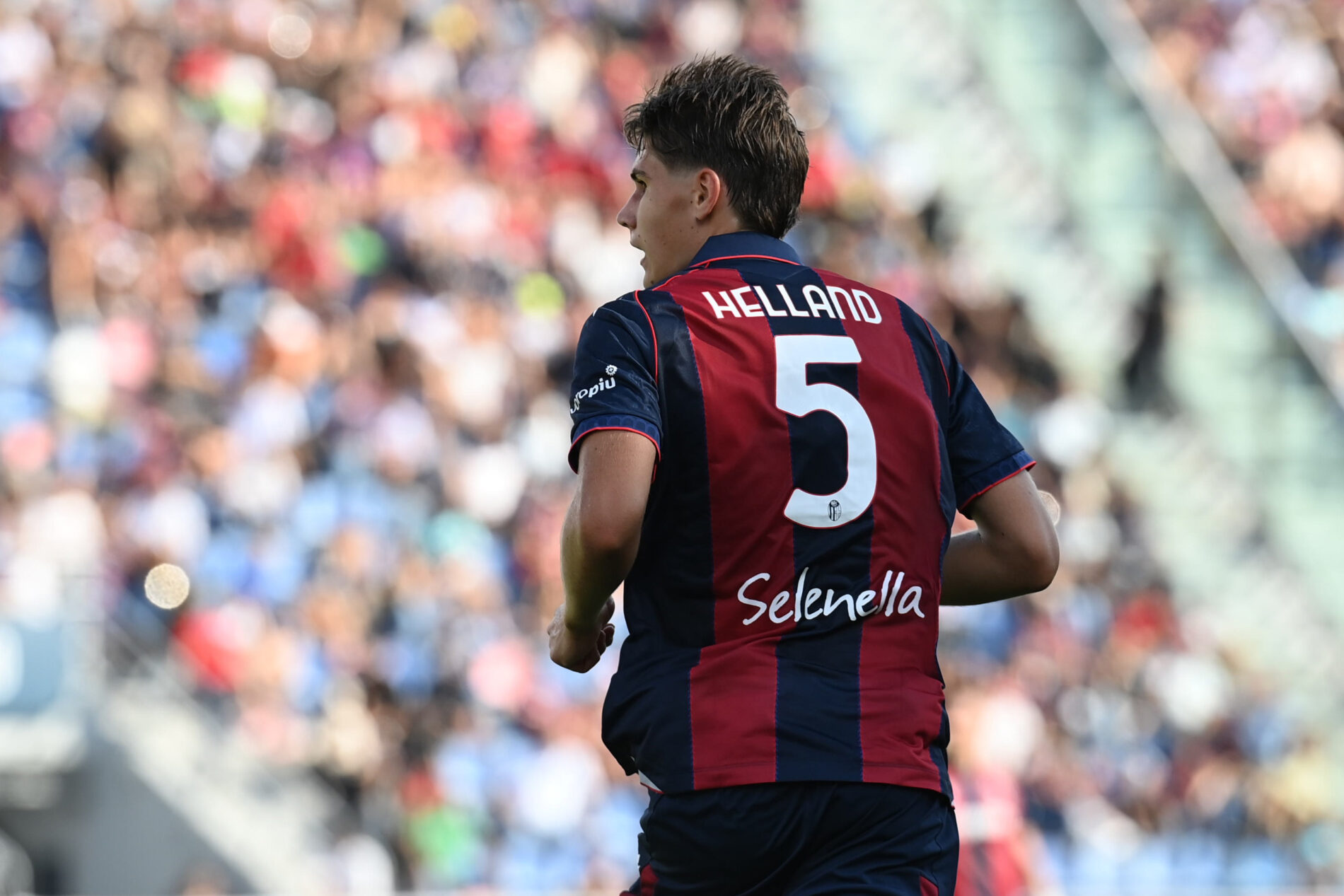 bologna helland