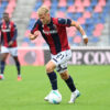 Odgaard bologna